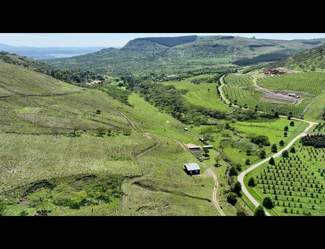 FARM FOR SALE IN MOUNT VERDE